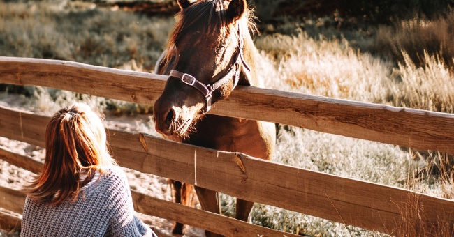 Ihminen kiintyy hevosiin kuin läheisiin ihmisiin