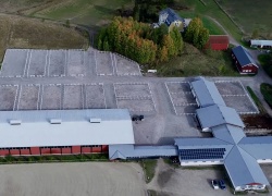Viiden tähden hevoshotelli