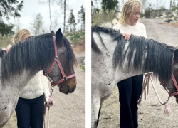 Hevosen pelko harrastuksen haittana