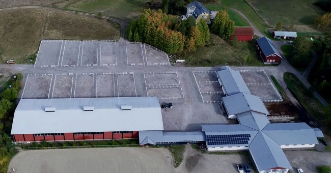 Viiden tähden hevoshotelli