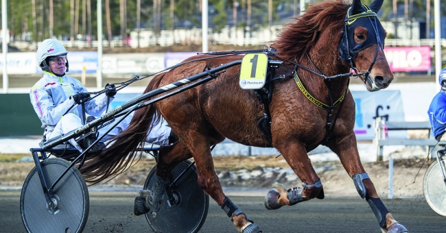 Elintärkeät elektrolyytit