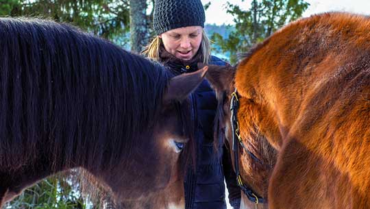 Malin Granroth