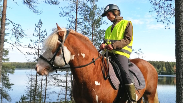 Monipuolinen harrastehevonen