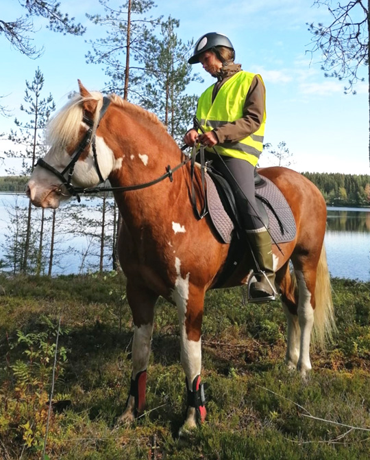 Monipuolinen harrastehevonen