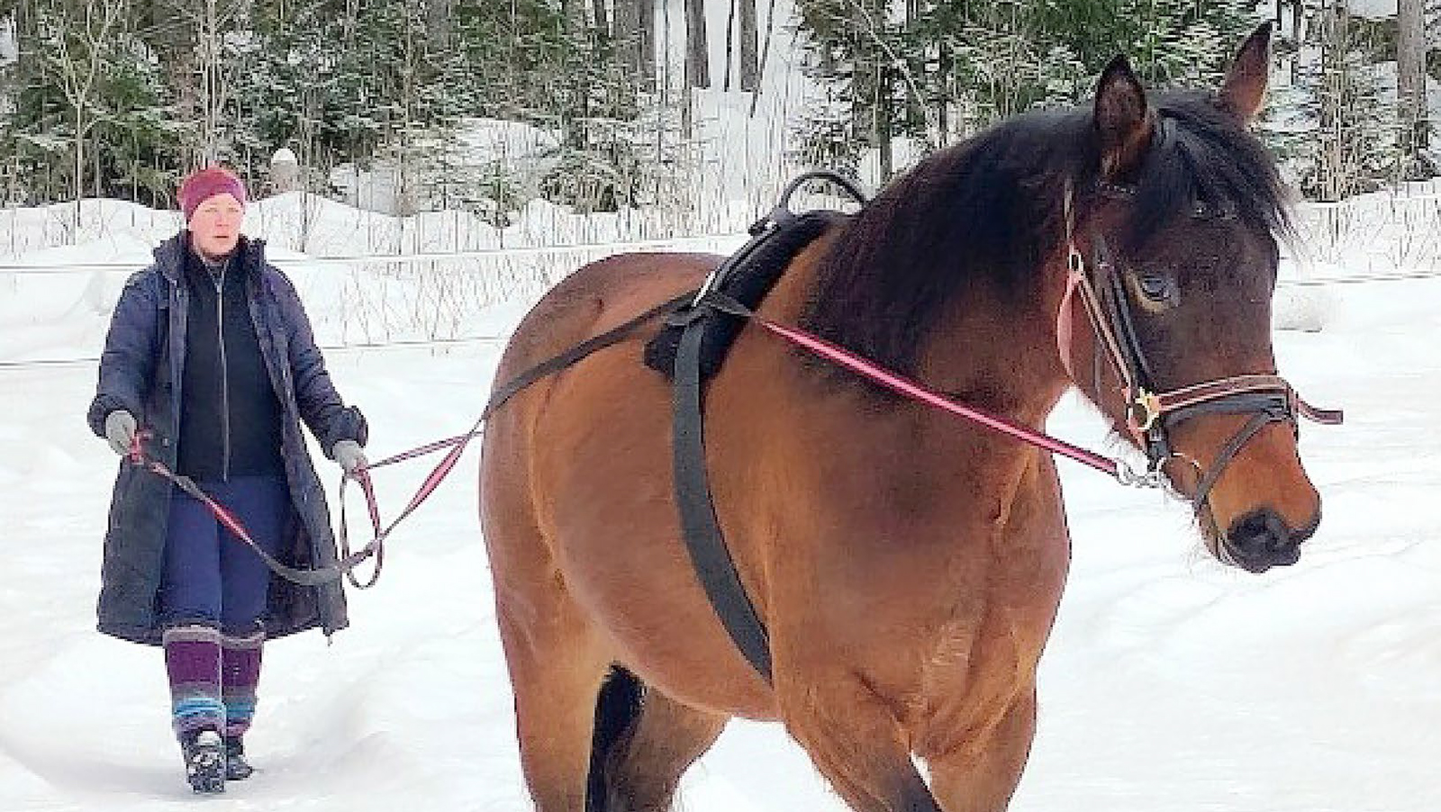 Riikka Utunen ja hevonen
