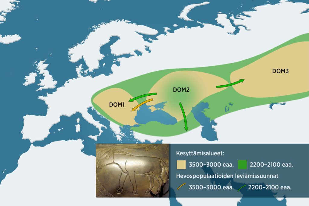 Kartta hevosen liikkeistä